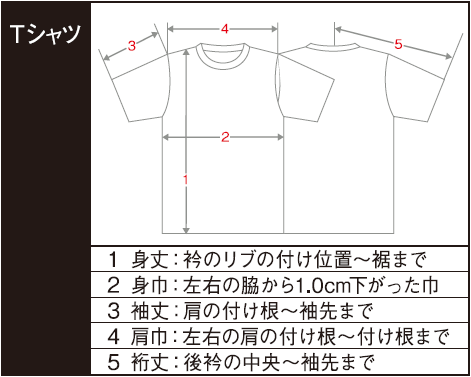 Tシャツ寸法の計り方