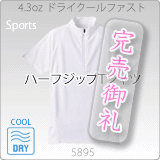 5895-01 4.3オンスドライクールファストハーフジップTシャツ