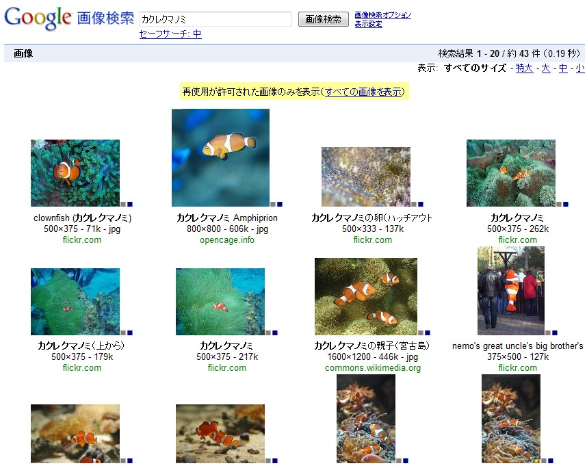 カクレクマノミ